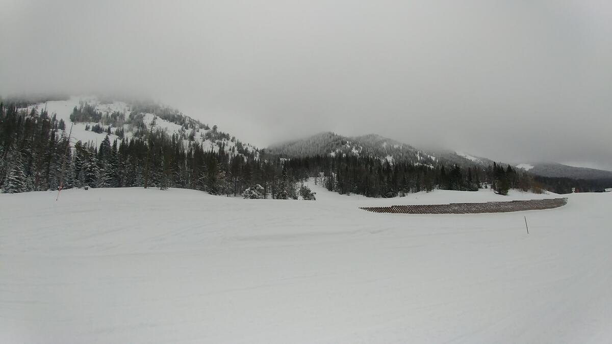Snow-covered meadow and forested hills under a low overcast sky