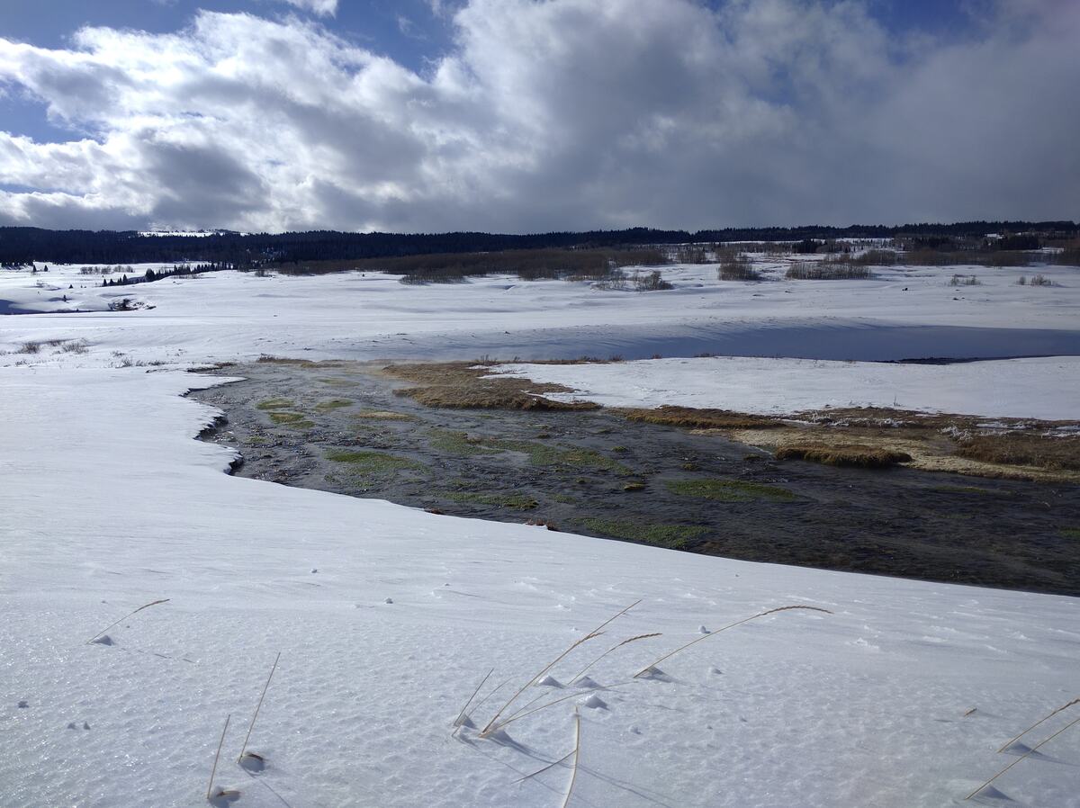 A dark thawing stream winding through a snow-covered meadow under a blue sky