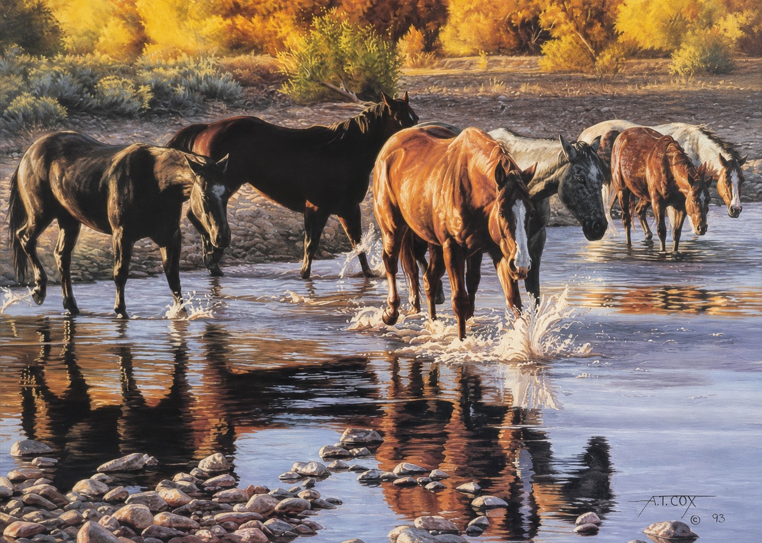 Painting of horses wading a shallow river against golden autumn brush, by A.T. Cox, 1993.